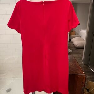 Professional scalloped dress